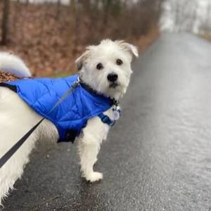 Meet your Posher, Jane